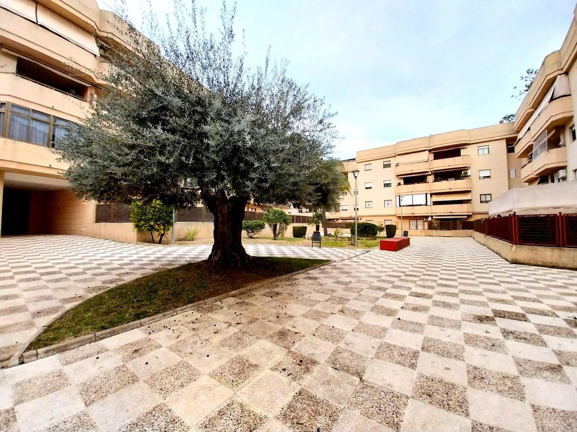 Top Suite Apartment Jerez Jardin Y Patio Jerez de la Frontera Esterno foto